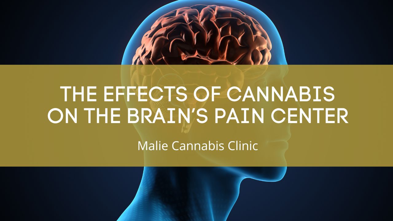 The Effects of Cannabis on the Brain’s Pain Center